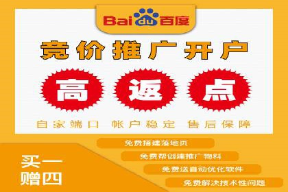 Sem优化公司案例：精准广告投放策略解析